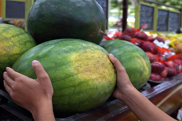 watermelon prices
