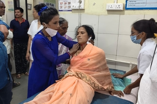  वाघाच्या हल्याची तिसरी घटना