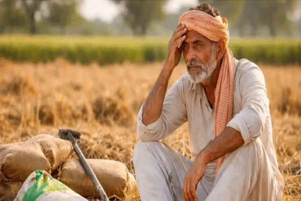 शेतकरी ओळखपत्र अनिवार्य; खते, विक्री आणि पीएम किसान हप्तेही थांबणार!