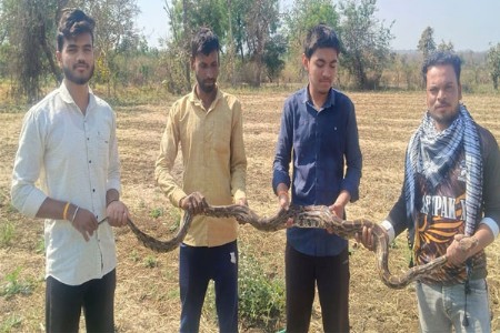 अजगराला जीवनदान..!