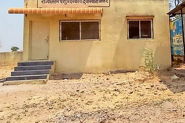 Pabal veterinary hospital 