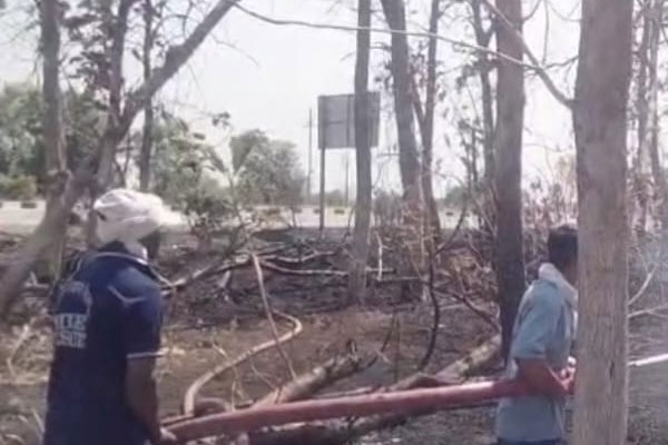 teak plantation fire