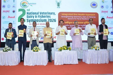 मादी बछड्यांचा जन्म भ्रूण प्रत्यारोपणाने व्हावा