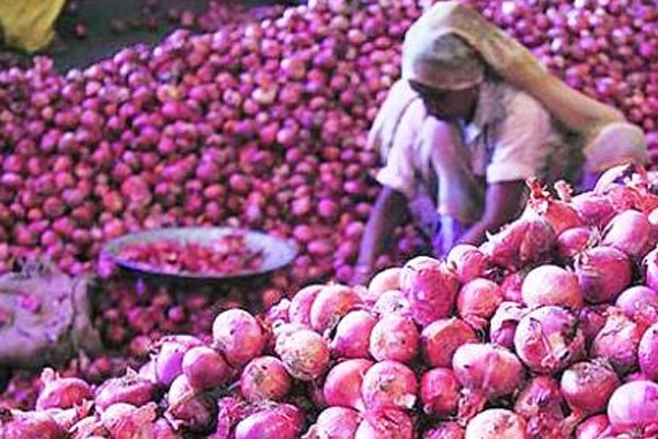 onion price  