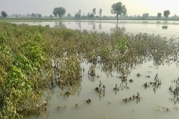 Kadamwakvasti flood compensation delay 