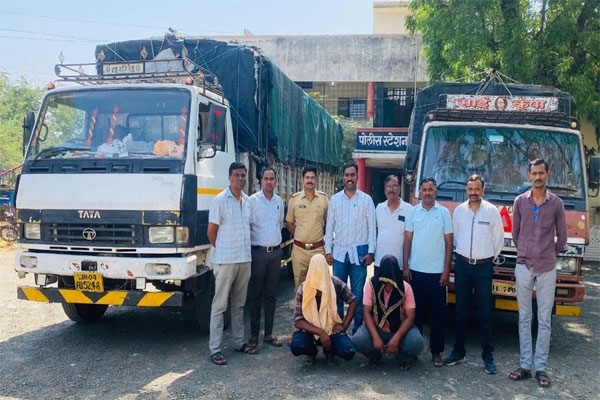 cattle transportation