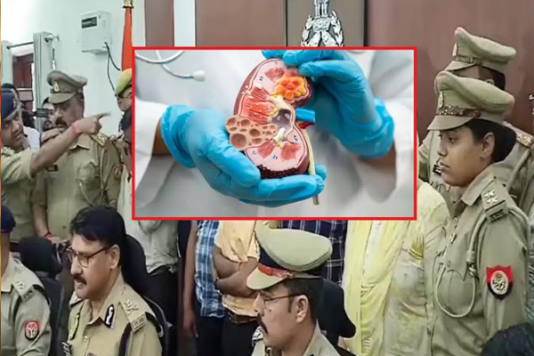 kanpur kidney transplant racket