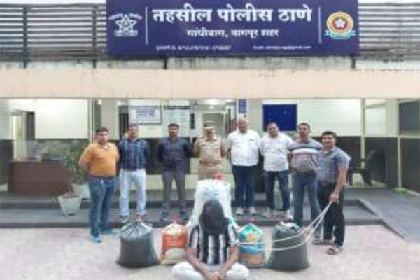 Nagpur ganja seizure