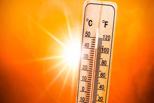 Wardha heatwave, Wardha temperature