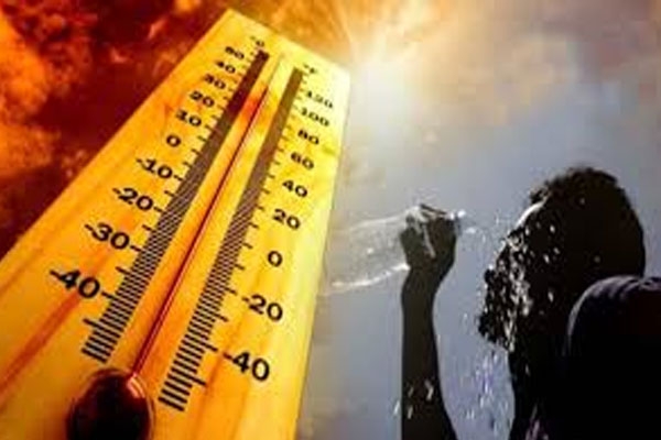 Wardha heatstroke deaths,