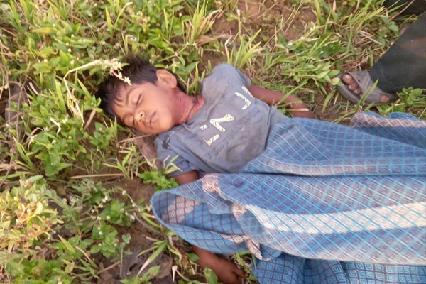 Little girl killed in tiger attack in Sakoli
