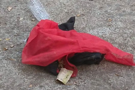 मृतदेहाची राख...बकऱ्याचे काळीज रात्री चाले भोंदूचा अघोरी खेळ