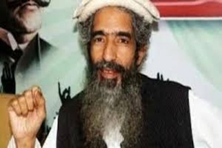 पाकिस्तान हादरला...हाफिज सईदचा साथीदार हमजावर गोळीबार