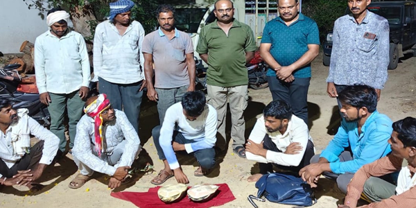 अघोरी पुजेसाठी कासव तस्करी