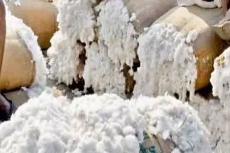 दीड कोटींच्या कापूस गाठींची परस्पर विक्री