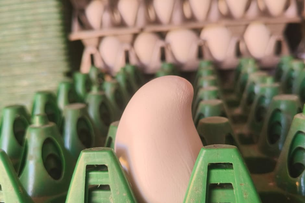 नंदी चौकात बघ्यांची उसळली गर्दी