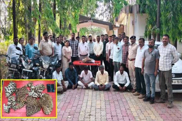 leopard-skin-smuggling