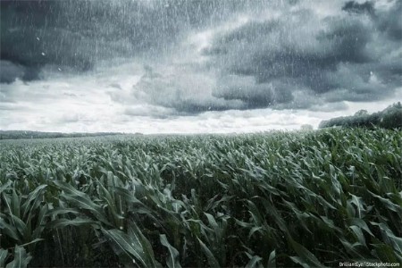 पुन्हा उन-पावसाचा खेळ, बळीराजाच्या संकटाची वेळ!