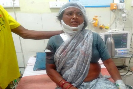 'त्या' वाघिणीचा दुसरा बळी...