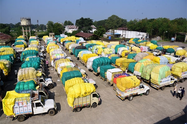  Hinganghat cotton market,