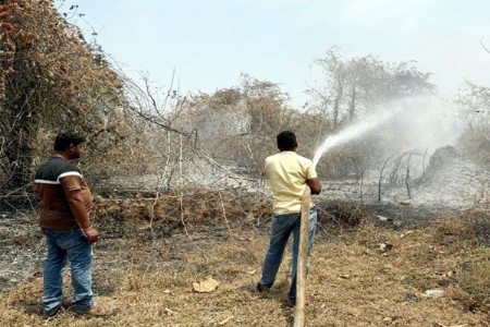 तिडका गावालगत जंगलाला भीषण आग; तत्परतेमुळे मोठा अनर्थ टळला