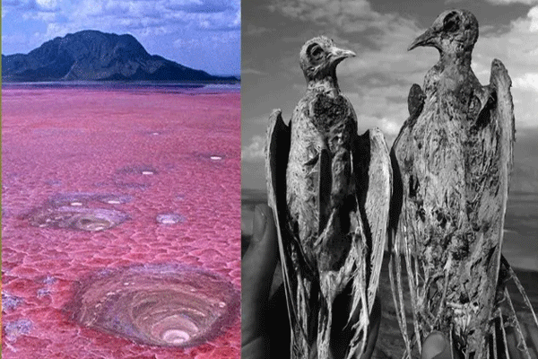 Lake Natron