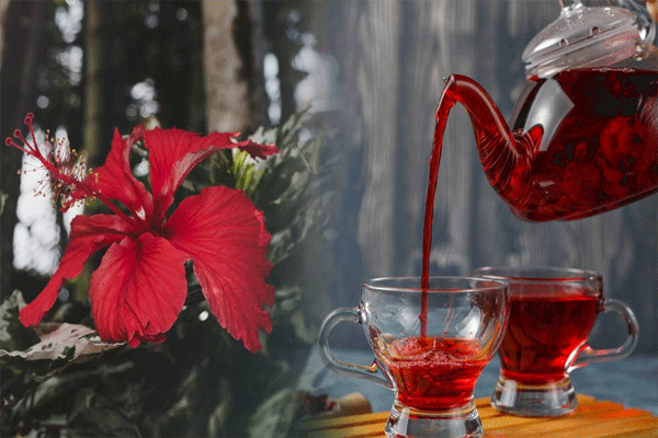 Hibiscus tea