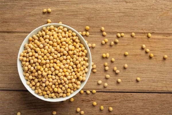 soybean price increase 