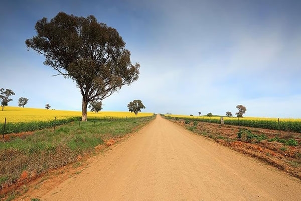 Maharashtra government land access policy, farm road regulations