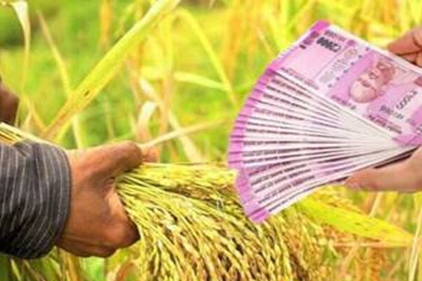 Mahatma Phule Karjmfi Yojana