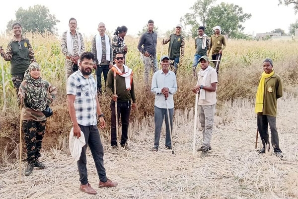 Tigress T-84 death Chandrapur,