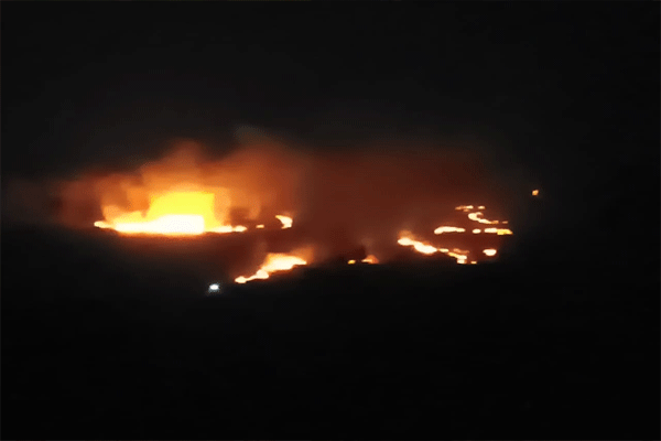 सुजातपूर जंगलात भीषण आग, कोट्यवधींचे नुकसान