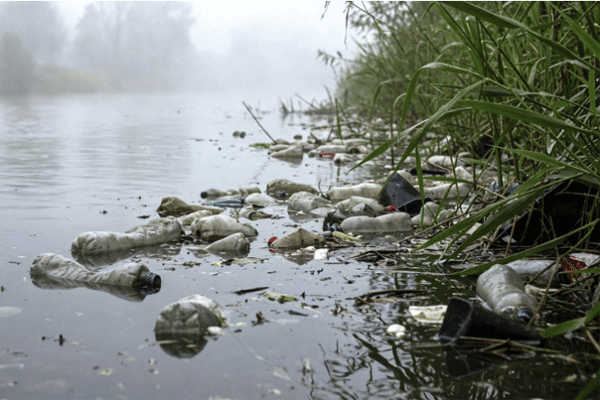 नद्यांना नवा श्वास! ५४ नद्यांसाठी राज्याचा मास्टर प्लॅन