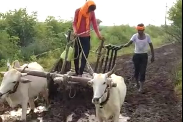 cm baliraja shet pandan