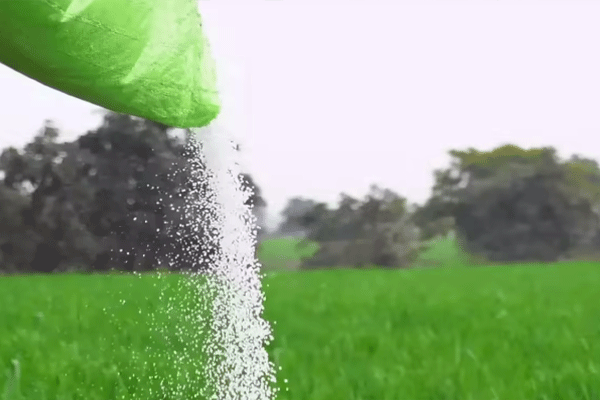 prices-of-chemical-fertilizers