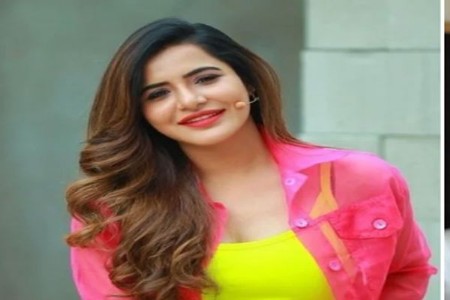 ‘बिग बॉस’ फेम आशू रेड्डीवर फसवणुकीचे गंभीर आरोप