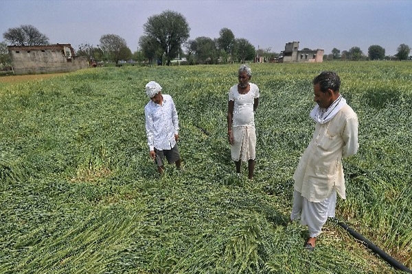 Unseasonal rain Maharashtra 2026, India weather alert, IMD orange alert districts,