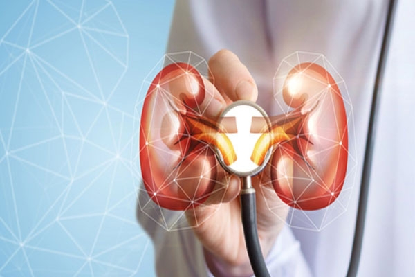 Kanpur kidney scam, kidney transplant fraud, Unnao kidney racket, Jalaun kidney network,