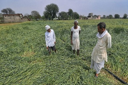 राज्यात अवकाळी पावसाचा जोर कायम
