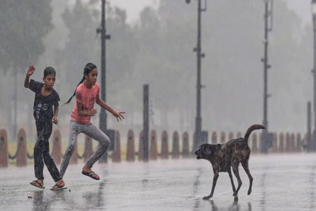 रेबीजमुळे सात वर्षीय मुलीचा मृत्यू