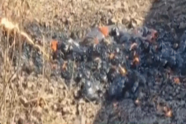 जमीन फाटल्यासारखी घटना, ‘लावा’ फूटल्याचा भयानक अनुभव! VIDEO