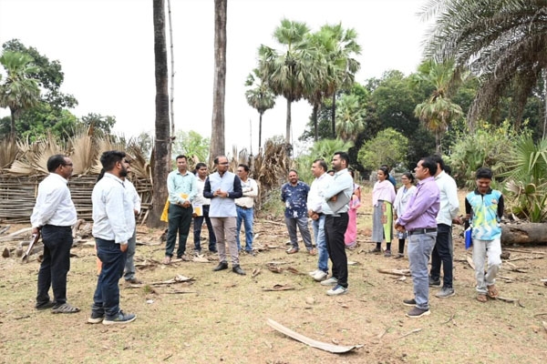 Palli-like villages are ideal models