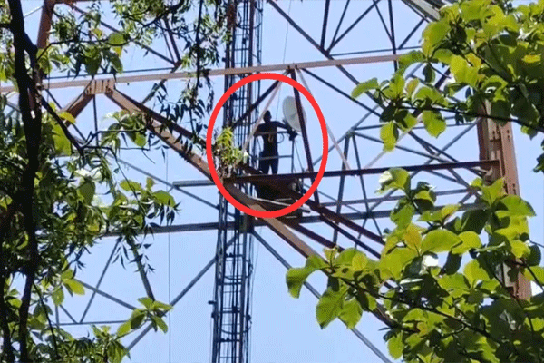 आईचा उपचार अन् नोकरीची मागणी; पोलिसाचा टावरवर जीवघेणा स्टंट!