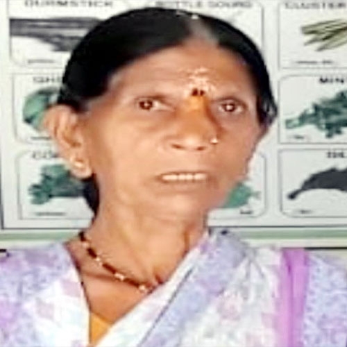 woman killed