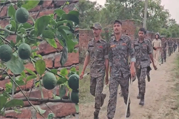 लिंबूवरून झालेल्या वादात बारा वर्षांच्या मुलाचा मृत्यू