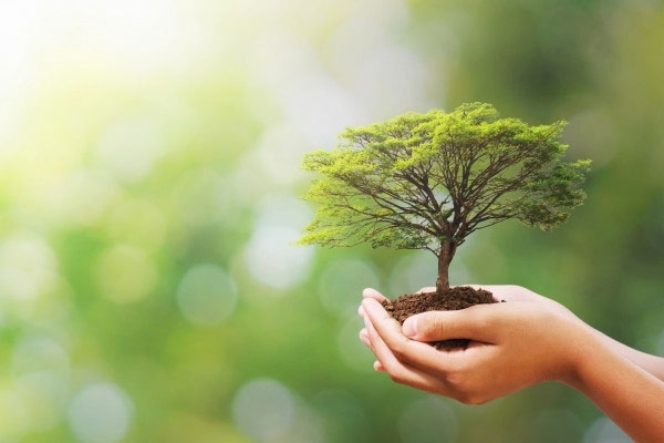 Historic victory of environmental protection Historic victory of environmental protection