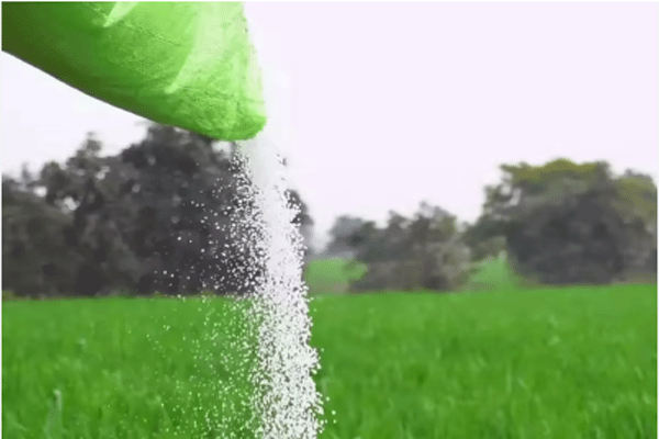 rising-fertilizer