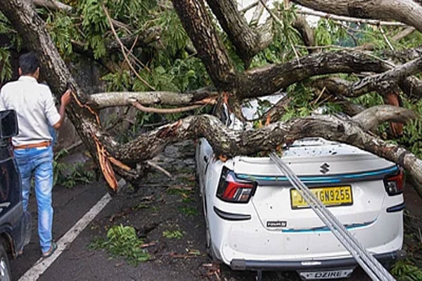 Rain Wreak Havoc in Uttar Pradesh