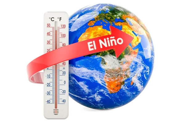 nino