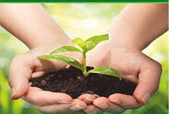 Organic Farming